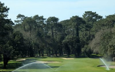 neue Bewässerungsanlage